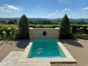 Le Mazet d'Emilia avec piscine privée, Cucuron
